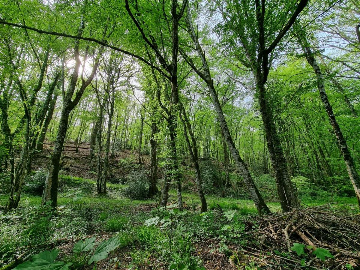 Le Domaine Du Cerf - Gites, Nature Et Spa Saint-Ouen-les-Vignes Εξωτερικό φωτογραφία